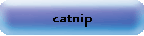 catnip