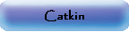 Catkin