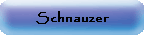 Schnauzer