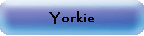 Yorkie